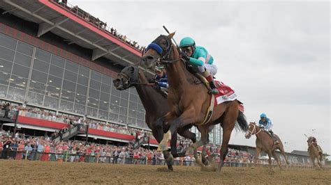 Preakness Stakes Predictions: Win, Place & Show Picks for 2024 .